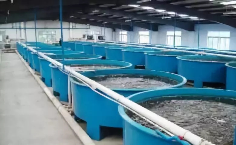 空氣源熱泵恒溫水產養(yǎng)殖 空氣源熱泵恒溫水產養(yǎng)殖